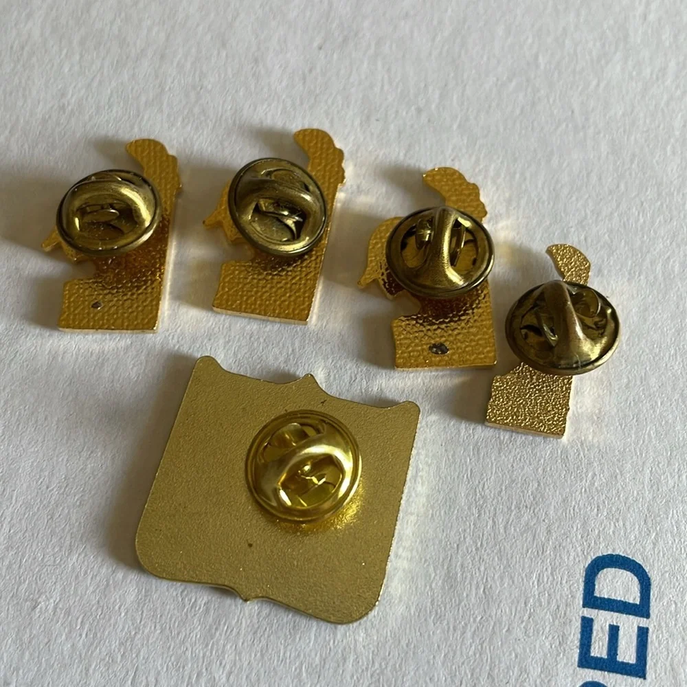 Bundle of 5 Delaware Themsed Pins‎